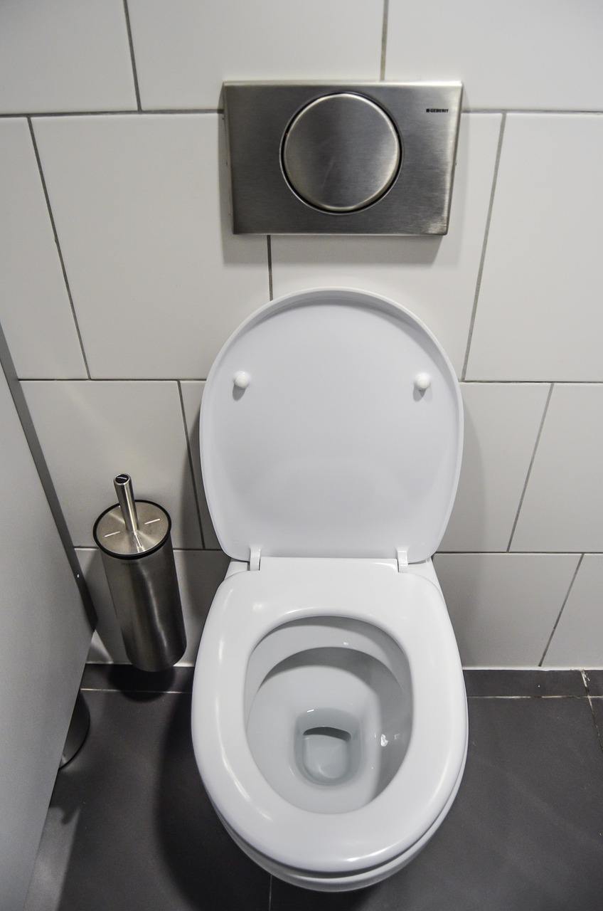 チワワのトイレ失敗を防ぐためのおすすめ対策グッズは？