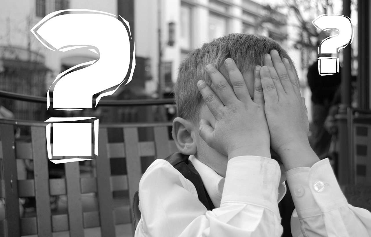 チワワのトイレ失敗を防ぐための対策グッズは？