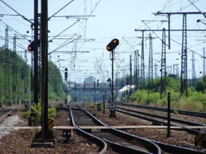 チワワの留守番対策に効果的な暑さ対策は？