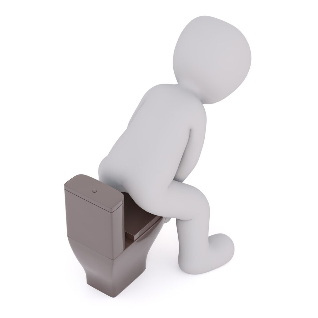 チワワのトイレトレーニングを成功させるためのポイントは？