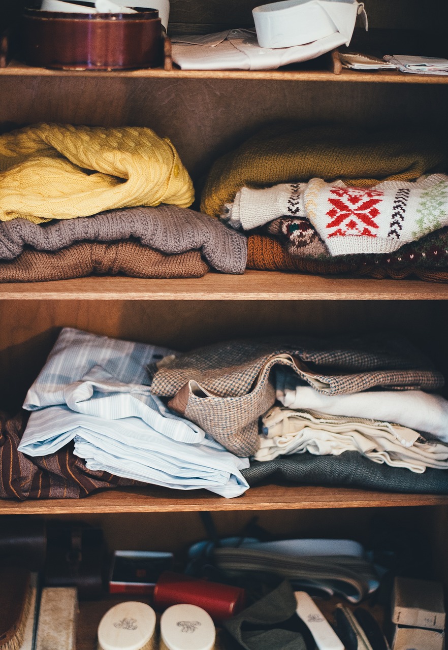 チワワの散歩に最適な服装のおすすめは？