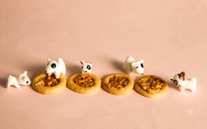 チワワがトイレシートを食べちゃう理由とは？