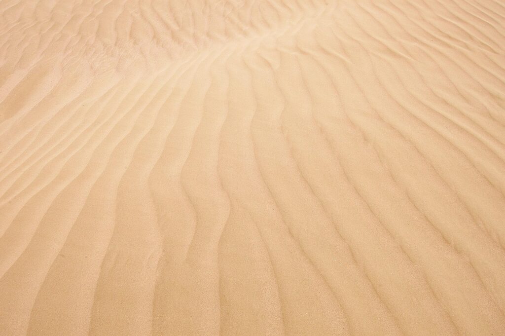 チワワが留守番で寂しがる時の対処法は？