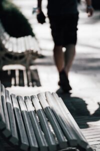 チワワが散歩に行きたがらない理由と対策は？