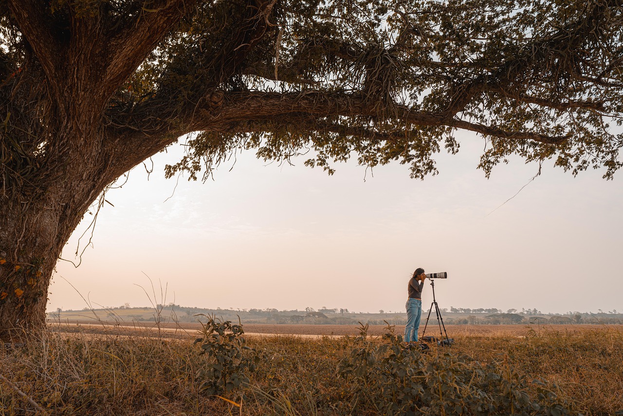 チワワが外でトイレをしない理由と対策は？
