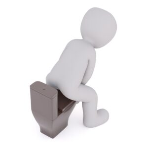 チワワがトイレを我慢しない理由とは？