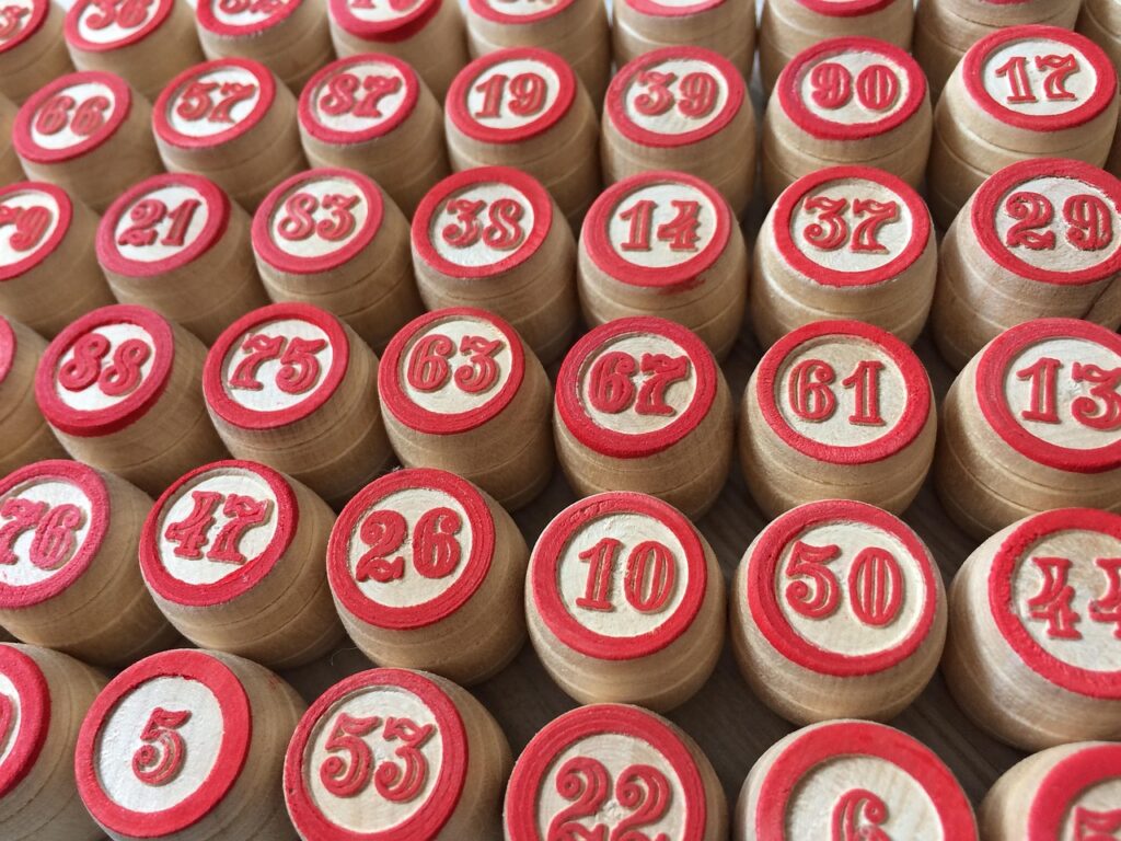 チワワのしつけは何から始めるべきか？